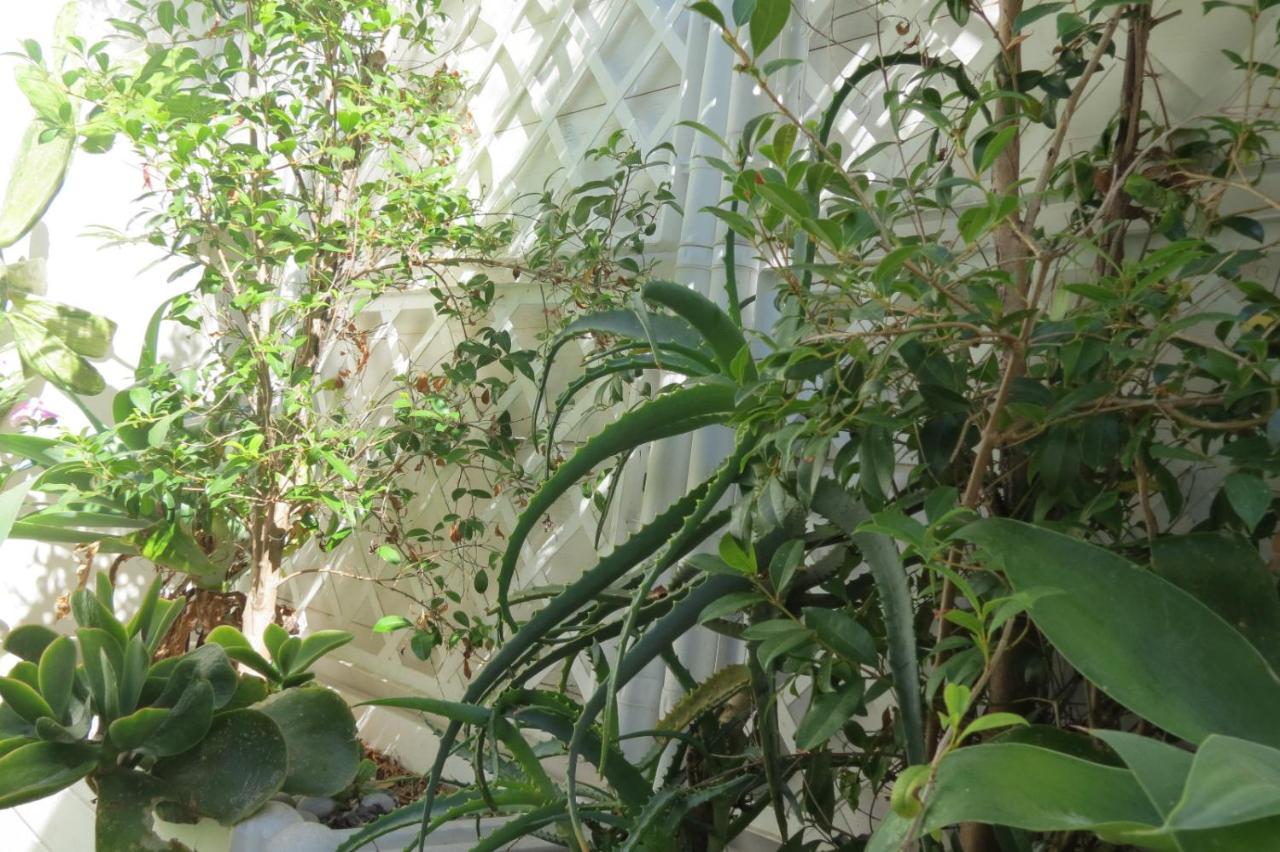 Casetta Costa Turchina Pollina Exterior photo
